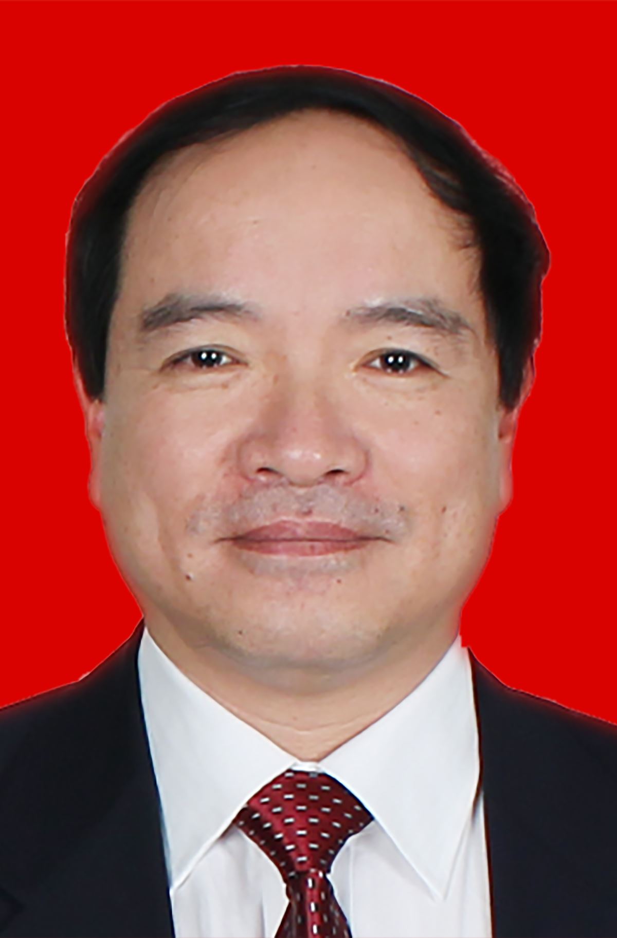 李庆 副会长兼秘书长